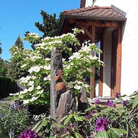 Fremdenzimmer Familie Foerster Villingen-Schwenningen Εξωτερικό φωτογραφία